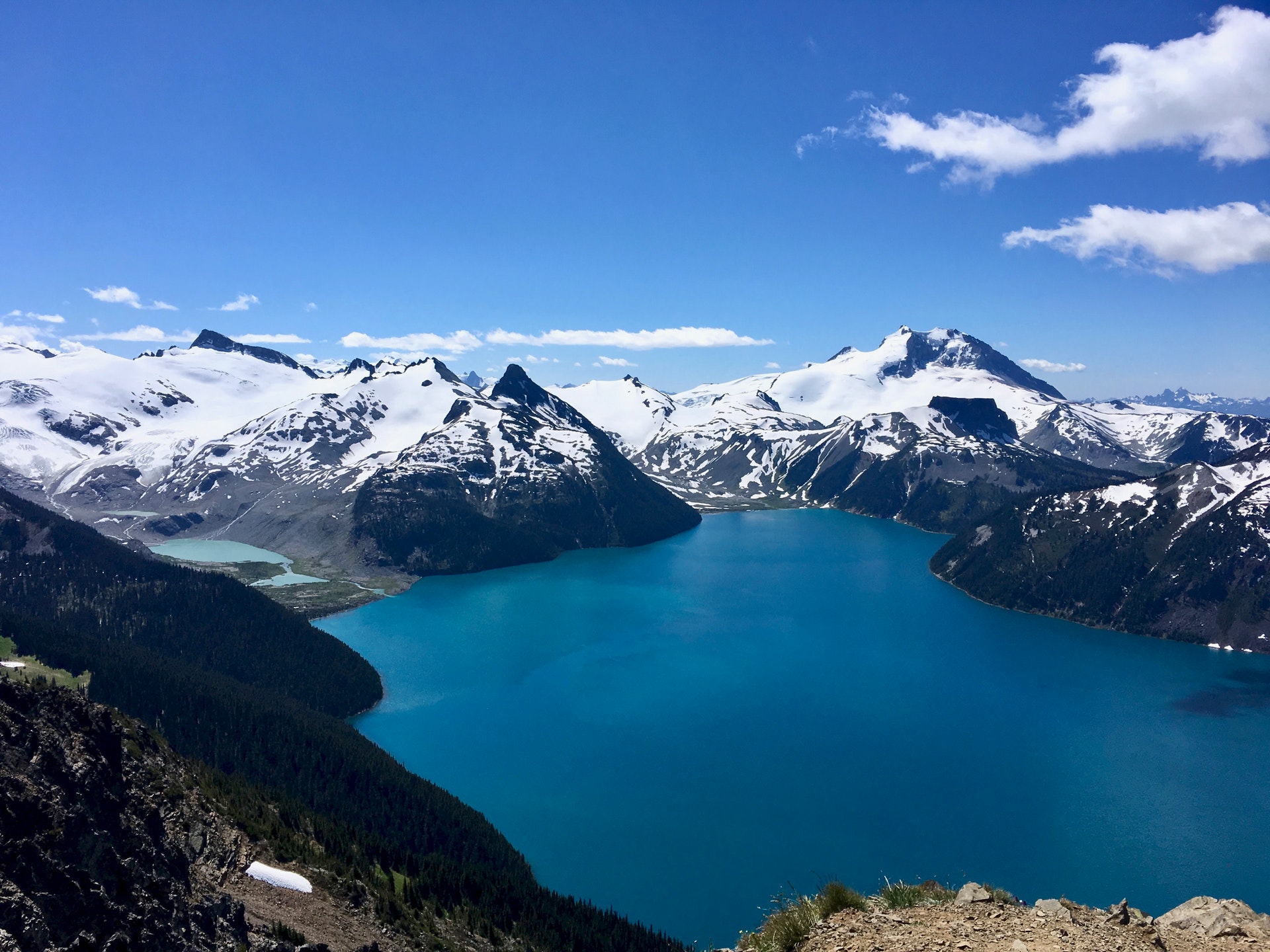 pexels-nancy-swanstrommoore-2084338